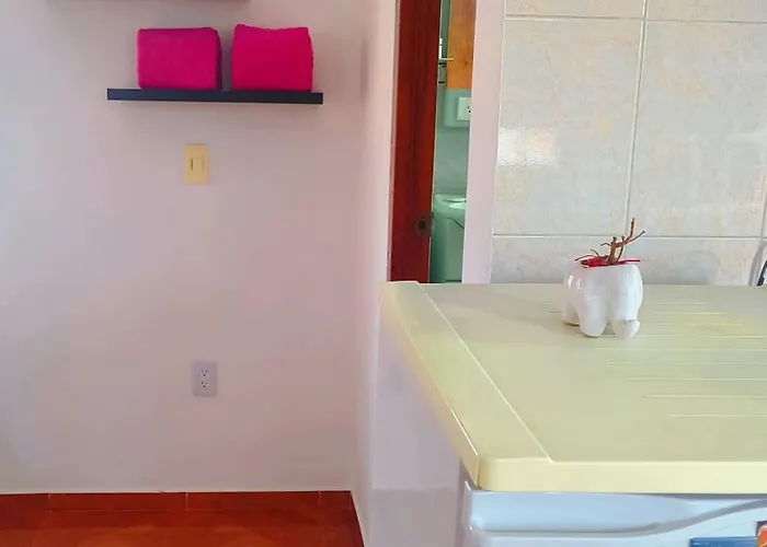 Apartment Estadio Gnp And Airport Aicm *